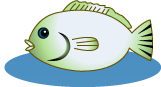 魚